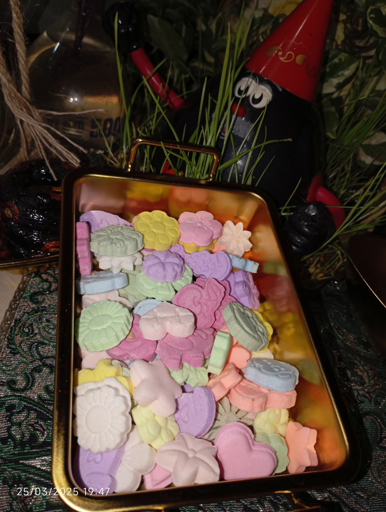 قندو نبات خانگی
